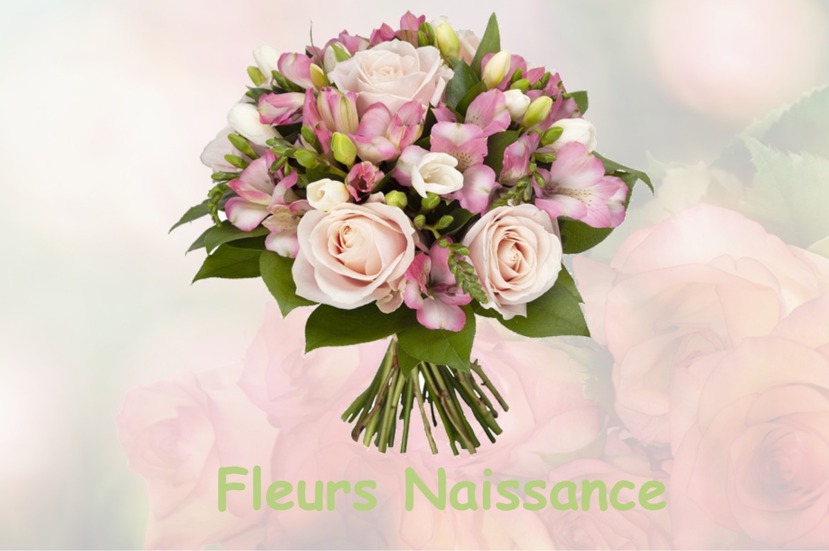 fleurs naissance TANNOIS