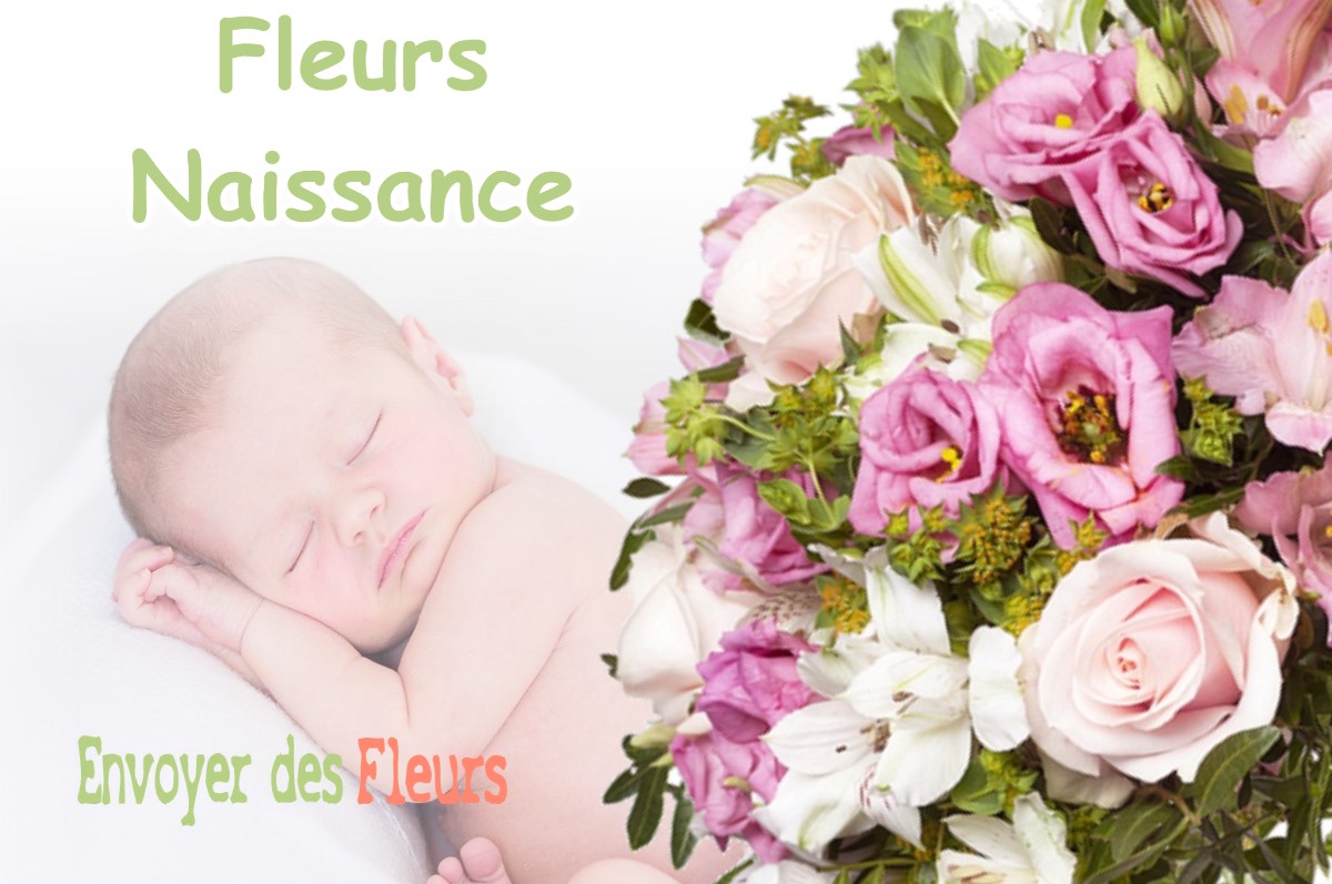 lIVRAISON FLEURS NAISSANCE à TANNOIS